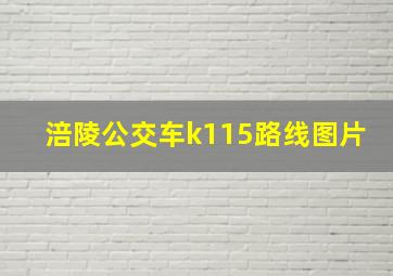 涪陵公交车k115路线图片