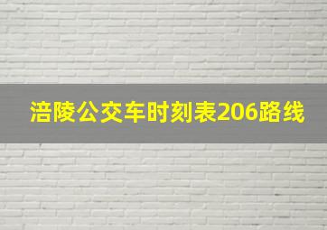 涪陵公交车时刻表206路线