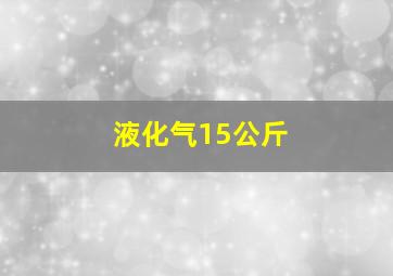 液化气15公斤