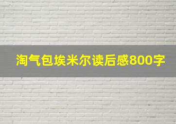 淘气包埃米尔读后感800字