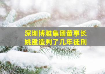 深圳博雅集团董事长姚建造判了几年徒刑