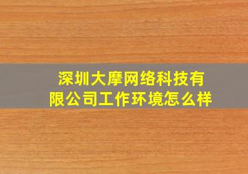 深圳大摩网络科技有限公司工作环境怎么样