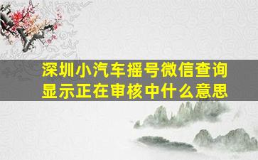 深圳小汽车摇号微信查询显示正在审核中什么意思