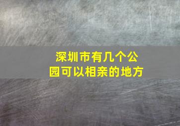 深圳市有几个公园可以相亲的地方