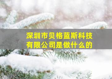 深圳市贝格蓝斯科技有限公司是做什么的