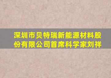 深圳市贝特瑞新能源材料股份有限公司首席科学家刘祥