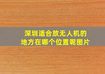 深圳适合放无人机的地方在哪个位置呢图片