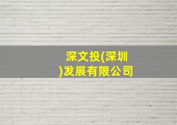 深文投(深圳)发展有限公司