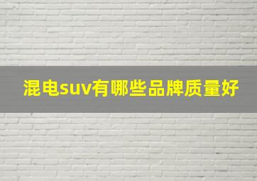 混电suv有哪些品牌质量好