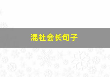 混社会长句子