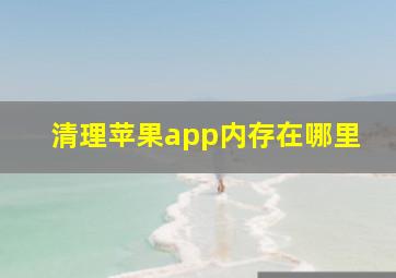 清理苹果app内存在哪里