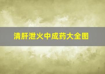 清肝泄火中成药大全图