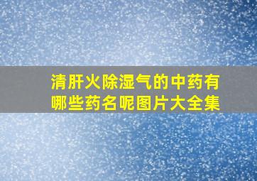 清肝火除湿气的中药有哪些药名呢图片大全集