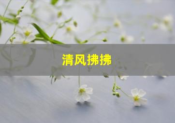 清风拂拂