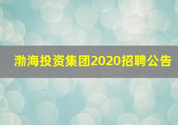 渤海投资集团2020招聘公告