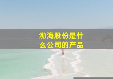 渤海股份是什么公司的产品