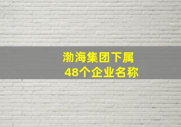 渤海集团下属48个企业名称