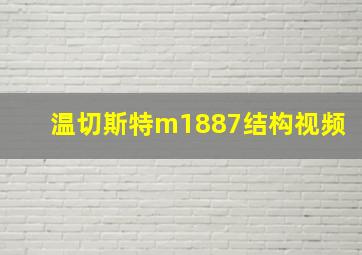 温切斯特m1887结构视频