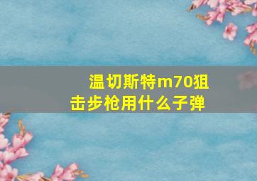 温切斯特m70狙击步枪用什么子弹