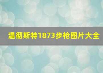 温彻斯特1873步枪图片大全