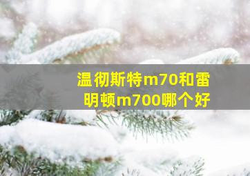 温彻斯特m70和雷明顿m700哪个好