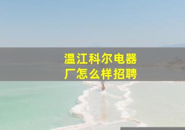 温江科尔电器厂怎么样招聘