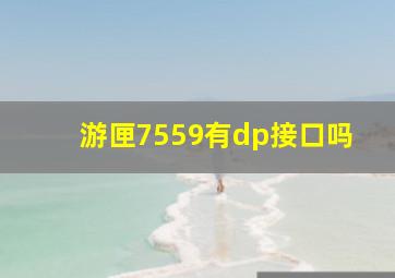 游匣7559有dp接口吗