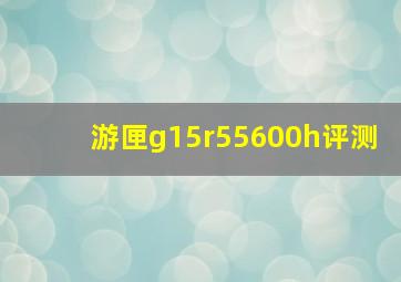 游匣g15r55600h评测