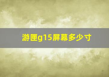 游匣g15屏幕多少寸