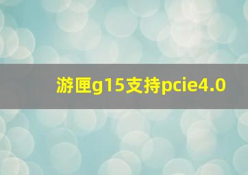 游匣g15支持pcie4.0