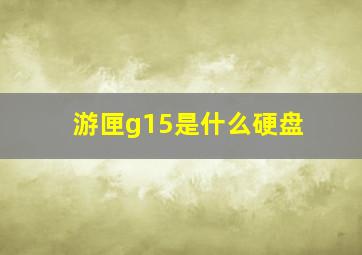 游匣g15是什么硬盘