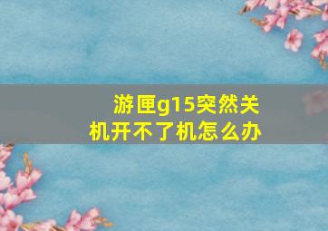 游匣g15突然关机开不了机怎么办