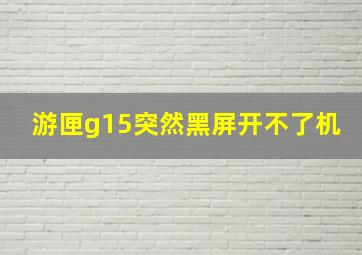 游匣g15突然黑屏开不了机