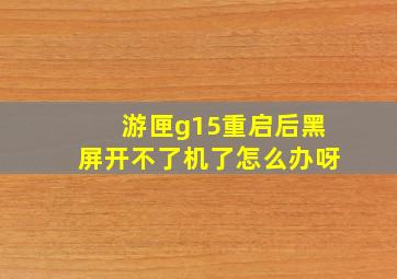 游匣g15重启后黑屏开不了机了怎么办呀