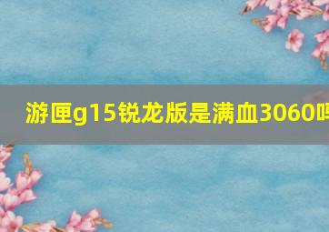 游匣g15锐龙版是满血3060吗