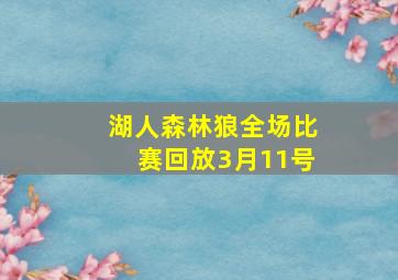 湖人森林狼全场比赛回放3月11号