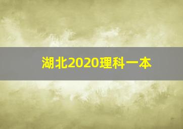 湖北2020理科一本