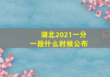 湖北2021一分一段什么时候公布