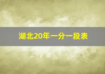 湖北20年一分一段表