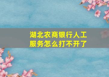 湖北农商银行人工服务怎么打不开了