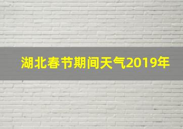 湖北春节期间天气2019年