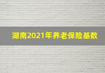 湖南2021年养老保险基数