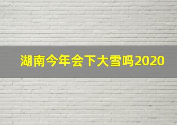 湖南今年会下大雪吗2020