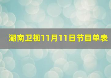 湖南卫视11月11日节目单表