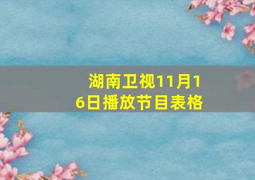 湖南卫视11月16日播放节目表格