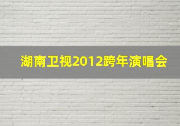 湖南卫视2012跨年演唱会