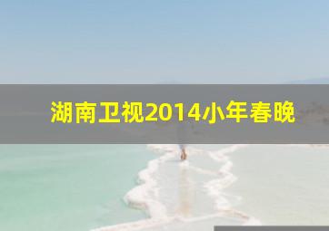 湖南卫视2014小年春晚