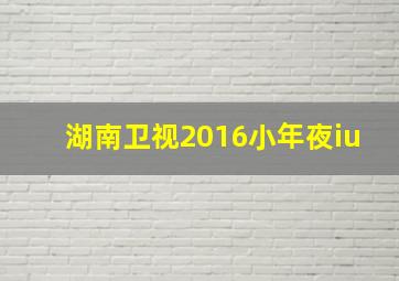 湖南卫视2016小年夜iu