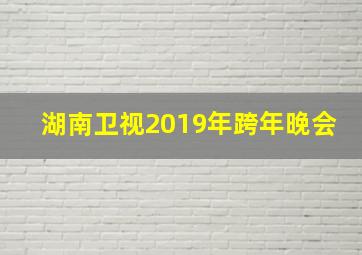 湖南卫视2019年跨年晚会