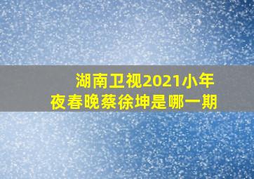 湖南卫视2021小年夜春晚蔡徐坤是哪一期